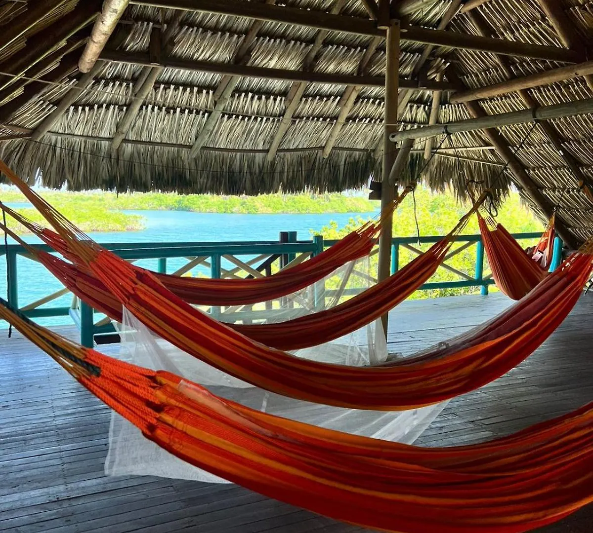 El Arca Hotel Tintipan Island Guest house